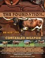 Concealed Weapon Poster