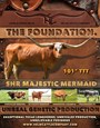 SHR Majestic Mermaid - The Foundation